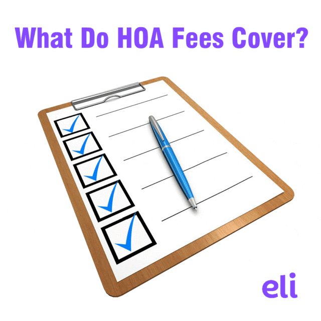 What do HOA fees cover?
